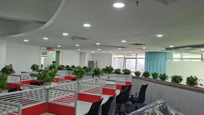 研发型企业组织架构搭建：解码高效运作之道